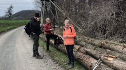 Neujahrswanderung