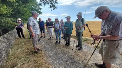 Bad Rappenau-Burg Guttenberg