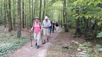 Bad Rappenau-Burg Guttenberg