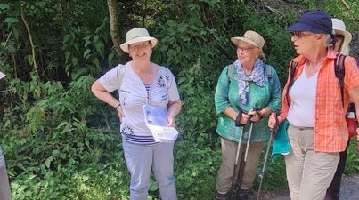 Bad Rappenau-Burg Guttenberg