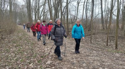 Naturschutzgebiet Kühkopf