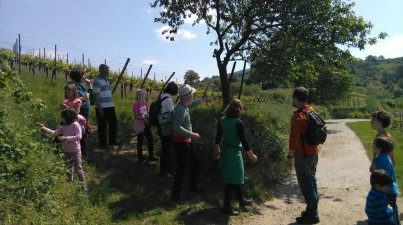 Unterwegs als Kräuterhexen