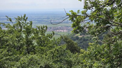 Hambacher-Schloss
