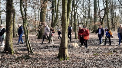 Ruhe-und-Gemütlichkeit-Niederwaldsee