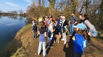 Ruhe-und-Gemütlichkeit-Niederwaldsee