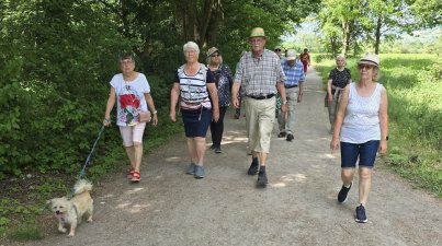 Runde-Bruchsee-Kunst-und-Klangweg