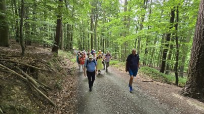 Rundwanderung-Vorderer-Odenwald