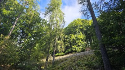 Tagesfahrt-Westerwald