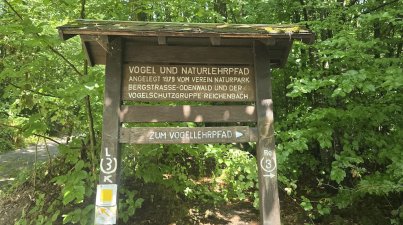 Von-Schönberg-nach-Reichenbach