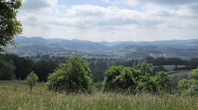 Wanderung-vorderer-Odenwald