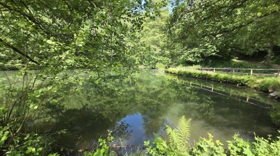 Wanderung-vorderer-Odenwald