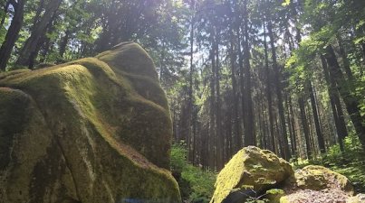 Wanderung-vorderer-Odenwald