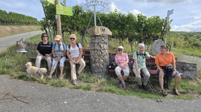 Wein-und-Stein