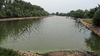 Biedensand Lampertheim