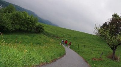 

Blick in die Rheinebene
Die Gerätschaften wie Beile, Äxte, Lanzen- Und Pfeilspitzen entstanden durch Bearbeitung von Feuersteinen. Die wertvollsten Grabbeilagen der Steinzeit-Menschen sind heutzutage in den Museen der Umgebung zu besichtigen.
Unter der Leitung von Margret Volk hatte einen zweite Gruppe auf dem kürzeren Weg den Steinzeitlichen Friedhof auf der Lee erreicht.
Nach den Gräbern führte der Weg bergab: Man kommt an einem alten als Naturdenkmal gekennzeichneten Steinbruch vorbei und streifte die mächtige Arnoldseiche. Bald öffnete sich der Waldpfad und gibt den Bilck auf Weinberge, Rheinebene, Bruchsee und Donnersberg frei.
Über den Essigkammweg und die Kolpingstraße ging es über den Marktplatz Heppenheim und letztendlich nach Bensheim zurück.
