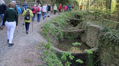 Einige Tafeln informieren die Wanderer über den Nutzen der Hohlwege für Pflanzen, Tiere, vor allem Insekten. Durch die Weinberge erreichte man in einem großen Bogen den Stadtteil Zell, wo gerastet wurde. Zu erwähnen ist, dass die Sicht bei wolkenlosen Himmel nach allen Seiten sehr gut und dank der blühenden Bäume herrlich war. In Zell traf man auf eine zweite Gruppe, die mit Gertrud Jäger vom Friedhof Bensheim Mitte aus, am Zeller Bach entlang zum Zielort gelangt war. 