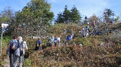 Rund um den Mummelsee