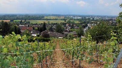 Sonnenwendfeier 