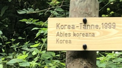 Weinheim - Schlosspark - Hermannshof - Exotenwald