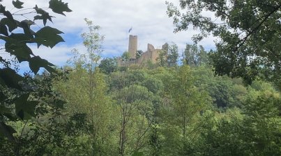 Weinheim - Schlosspark - Hermannshof - Exotenwald