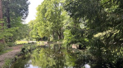 Familienangebot/Heiligenberg