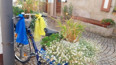 Gartenschau Eppingen