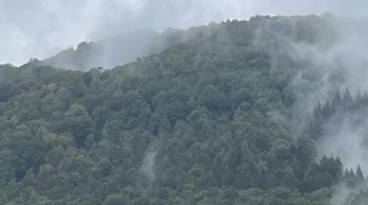 Rund um Neckarsteinach