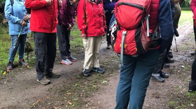 Rund um Neckarsteinach