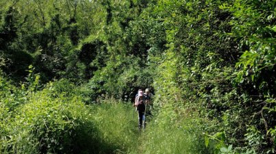 14.5. Tag des Wanderns