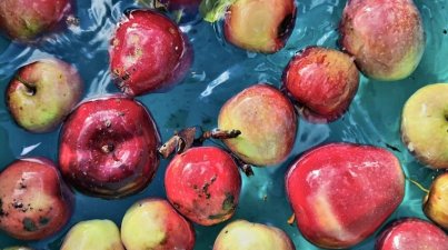Der Apfel