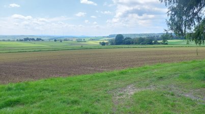 Hatzbachtalwanderung