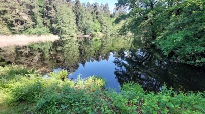 Hatzbachtalwanderung