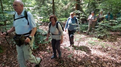 Hatzbachtalwanderung