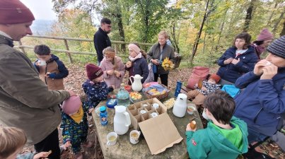 Herbstliche-Waldexpedition