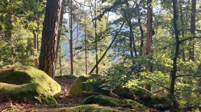 Wanderfahrt-Freinsheim
