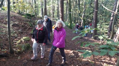 Wanderfahrt-Freinsheim