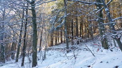 Winterwanderung