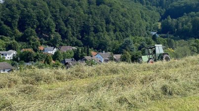 Hochstaetten Felsenmeer