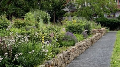 Kräutergarten in Lorsch