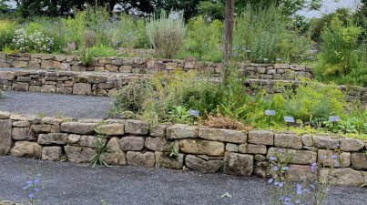 Kräutergarten in Lorsch