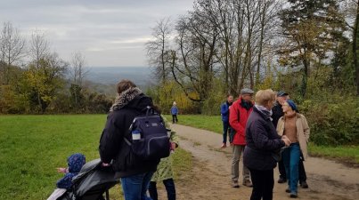 Kurzwanderung-Sterne-basteln-Vorlesestunde-bei-Kaffee/Tee-und-Kuchen