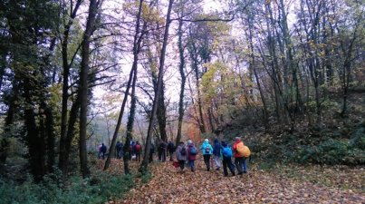 Nebelwanderung_Lindenfels