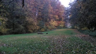 Nebelwanderung_Lindenfels