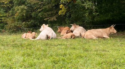 Wanderung zum Borsteinhaus